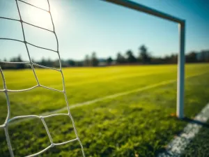 Piłkochwyty na boiska piłkarskie – jak dobrać wysokość i gęstość siatki